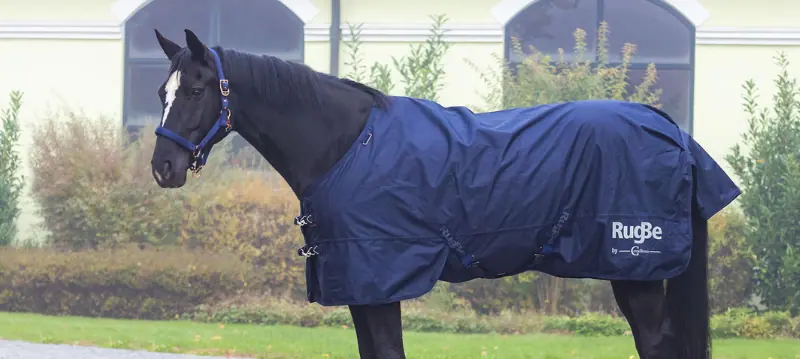 Rain Blanket Horse