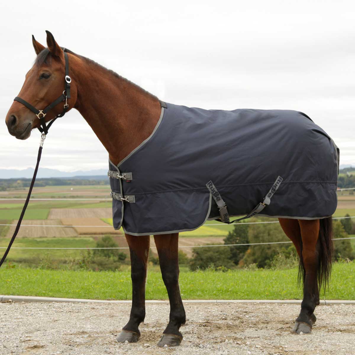 Covalliero Winter Blanket RugBe IceProtect navy 600D, 300g 125