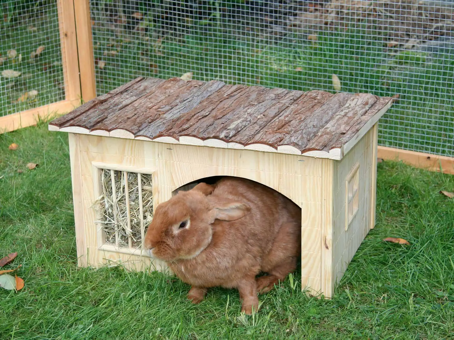 NATURE PLUS House with Hay Rack 54 x 41 x 30 cm