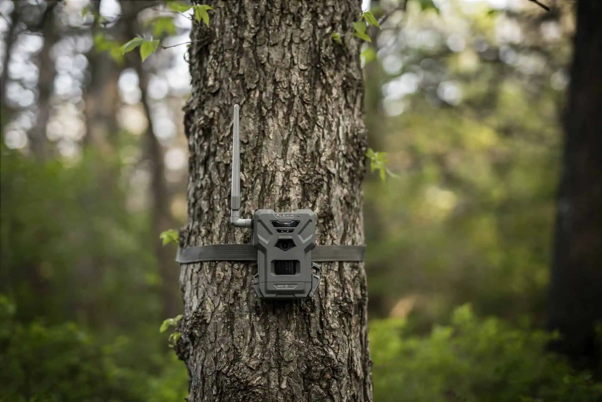 Spypoint Trail Camera FLEX-M Twin Pack
