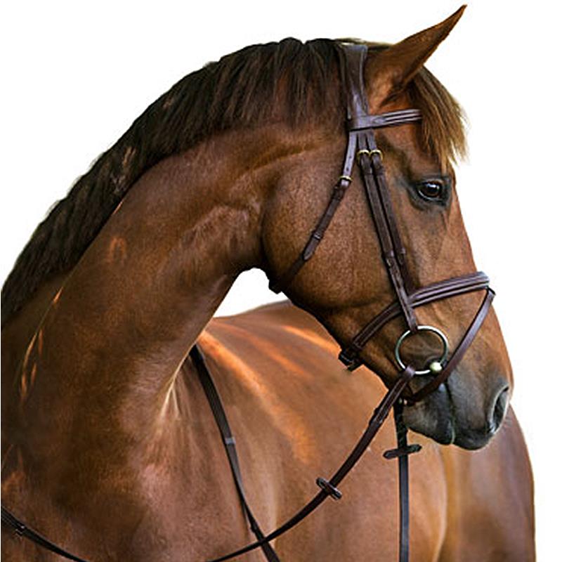Leather bridle, Classic brown, cob Pony