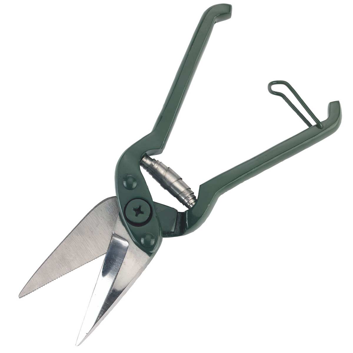 Claw shear with teeth for sheep serrated