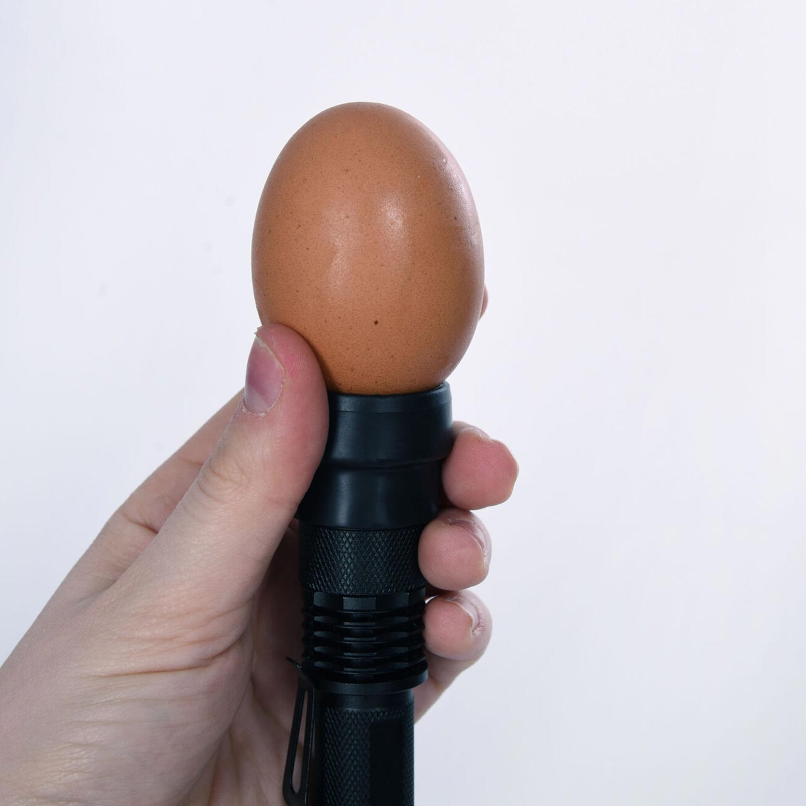 Chicken Egg Candler Poultry Hatching Egg Tester Bright LED Light Cool