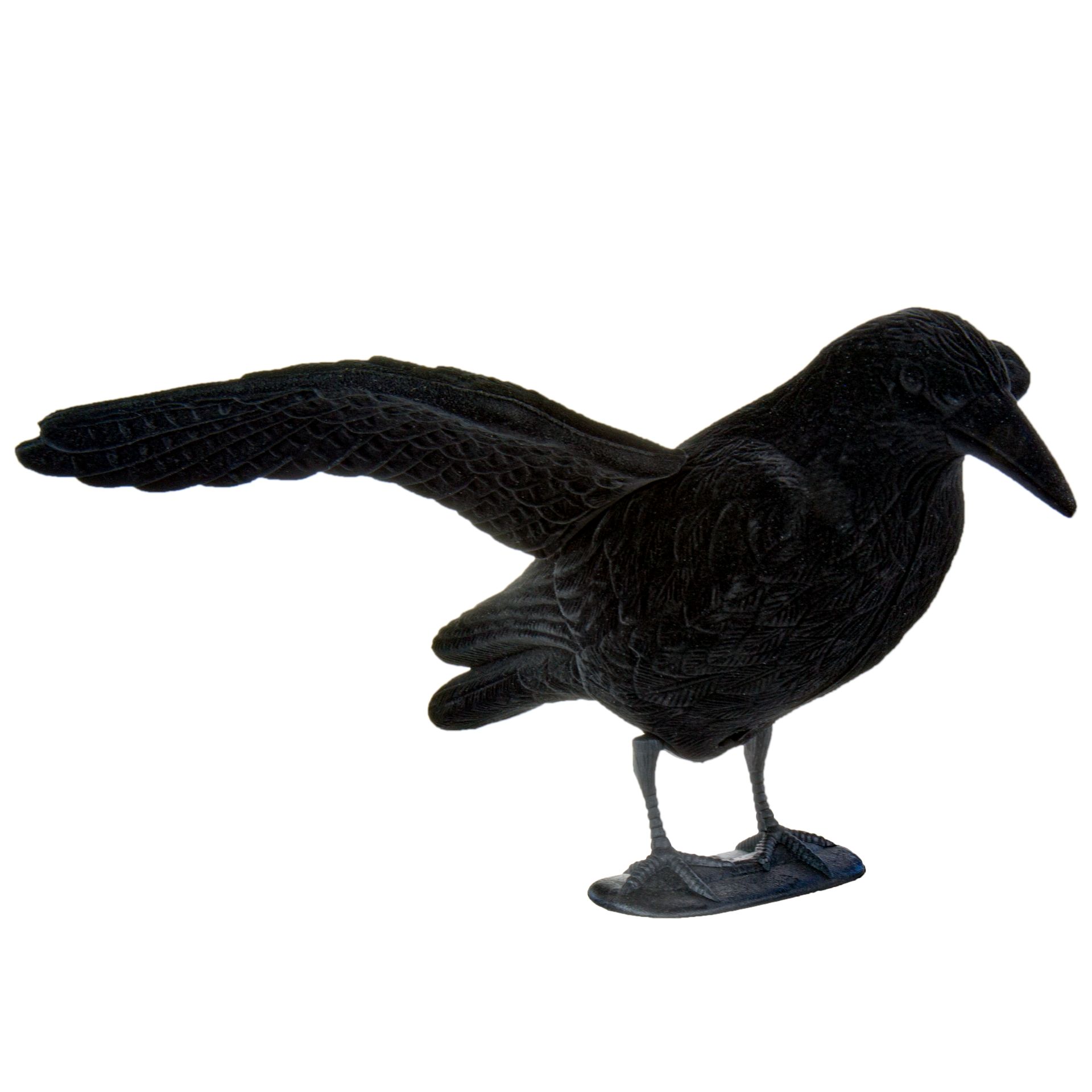 Flocked Curly Crow With Wings