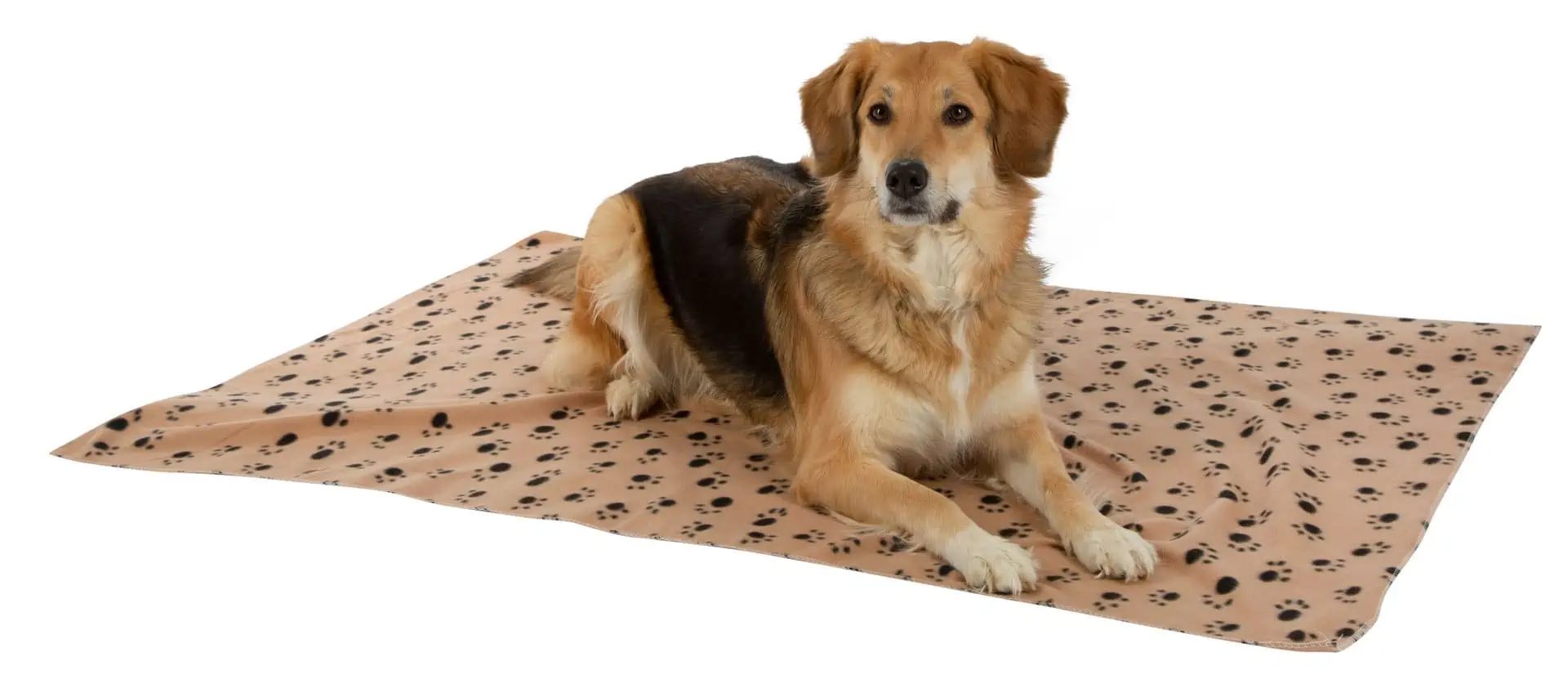 Dog Blanket Stella 140x100cm beige with paws
