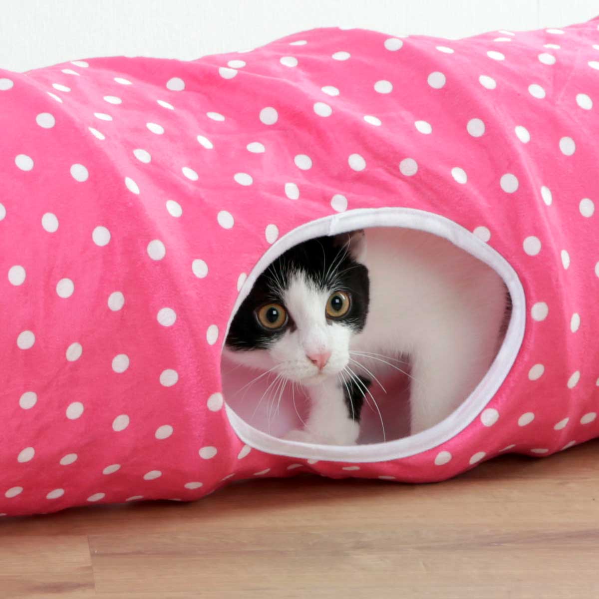 Cat tunnel PUNTINO