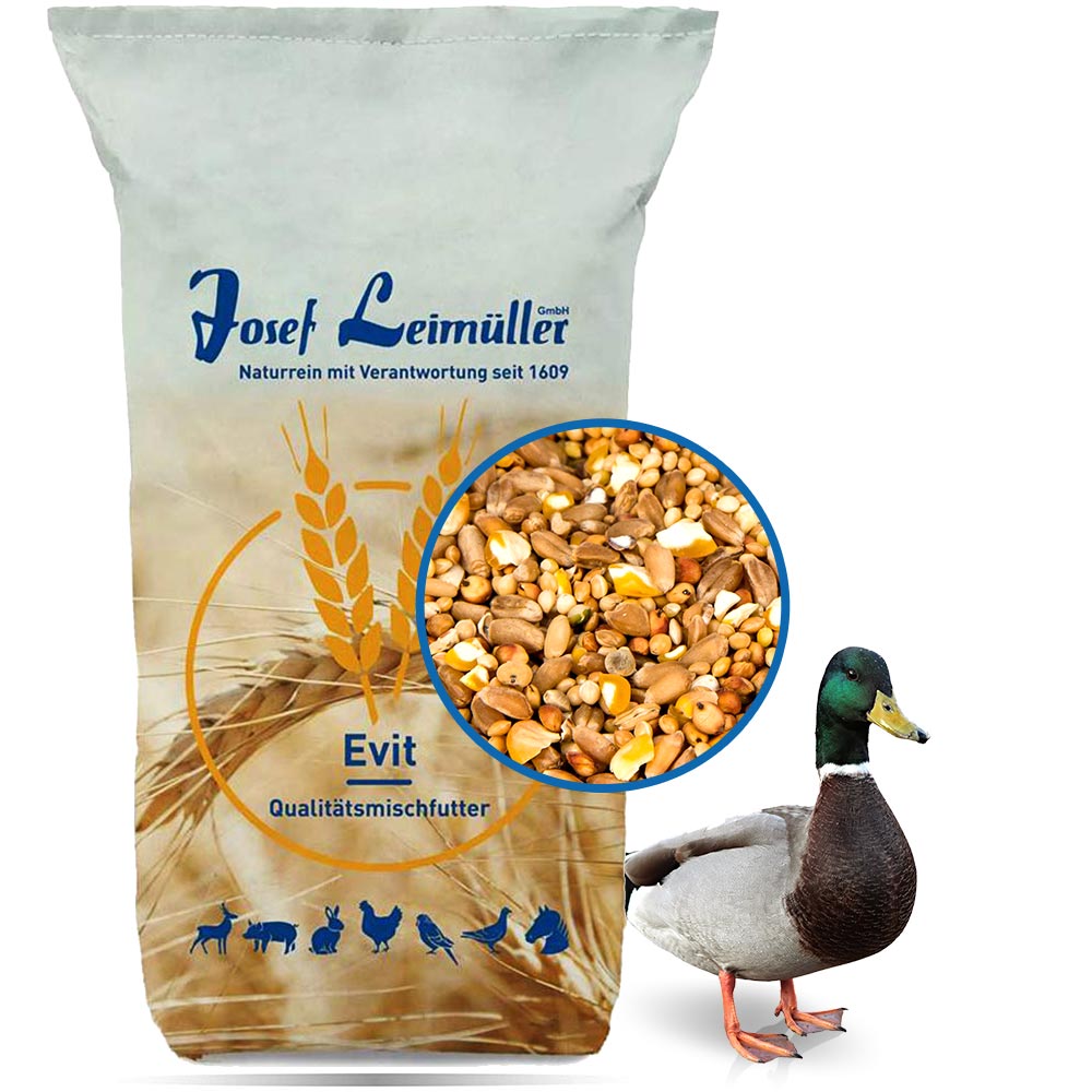 Leimüller Duck Feed