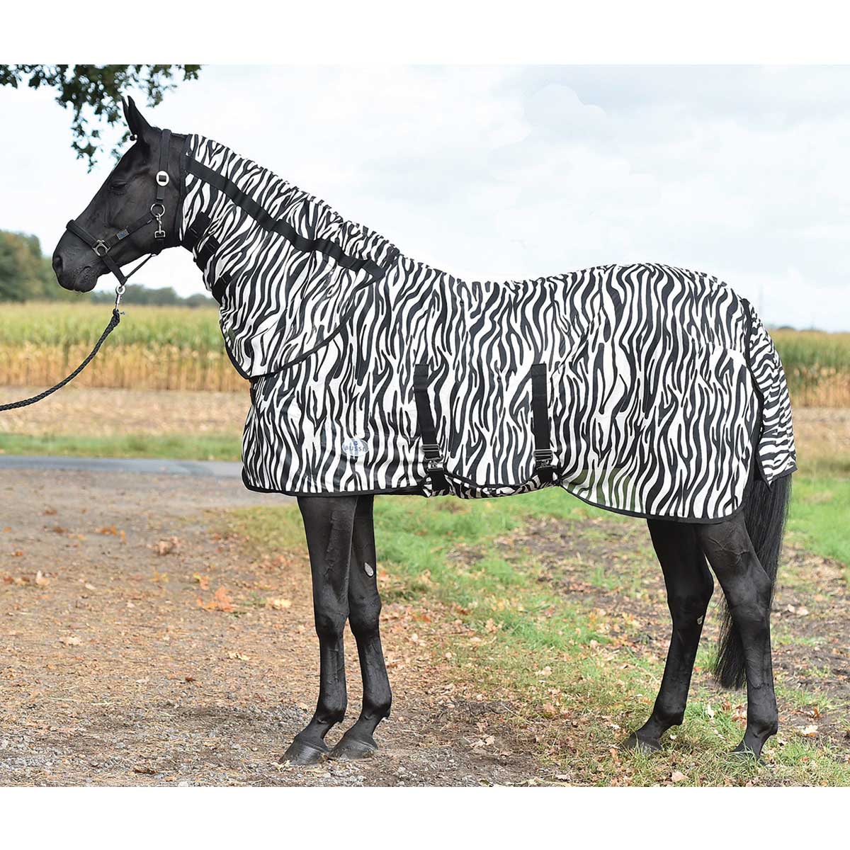 BUSSE Paddock Fly Sheet ZEBRA, Belly-Cover 135