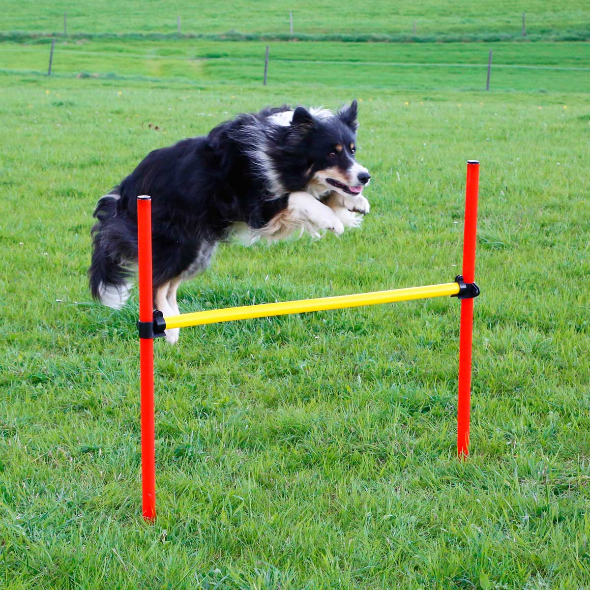 Agility complete set 3 parts, red/yellow