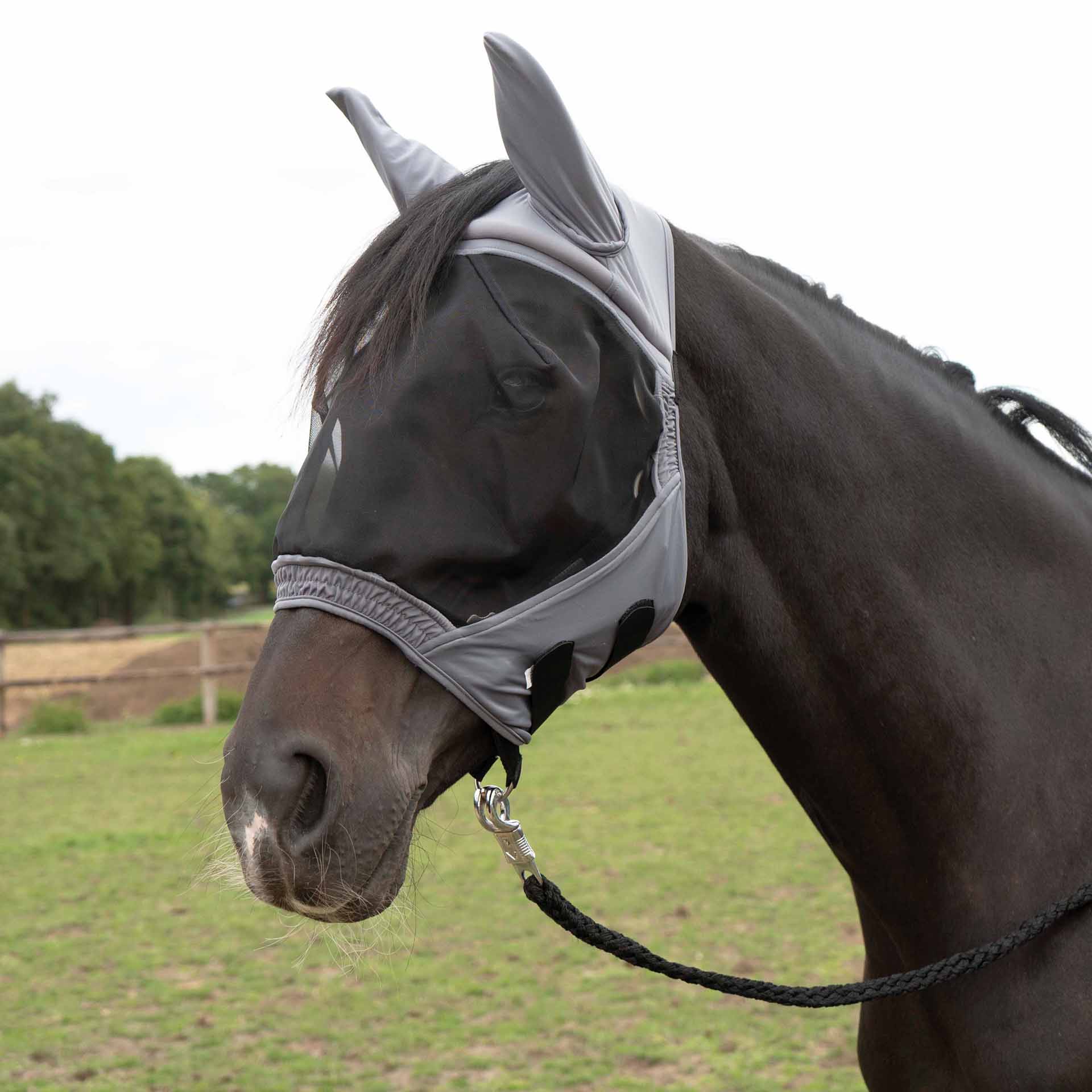 BUSSE Fly Mask FLY BUCKLER GAP Pony gray