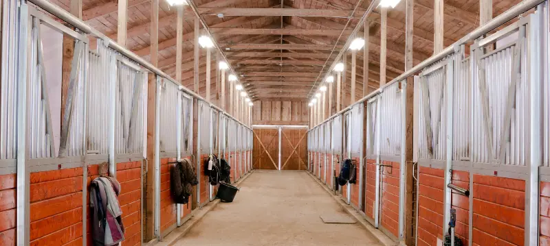 Horse Stable Lighting