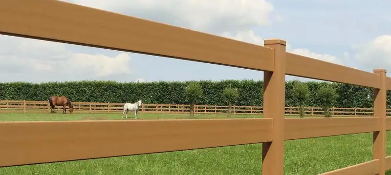 Horse Fence