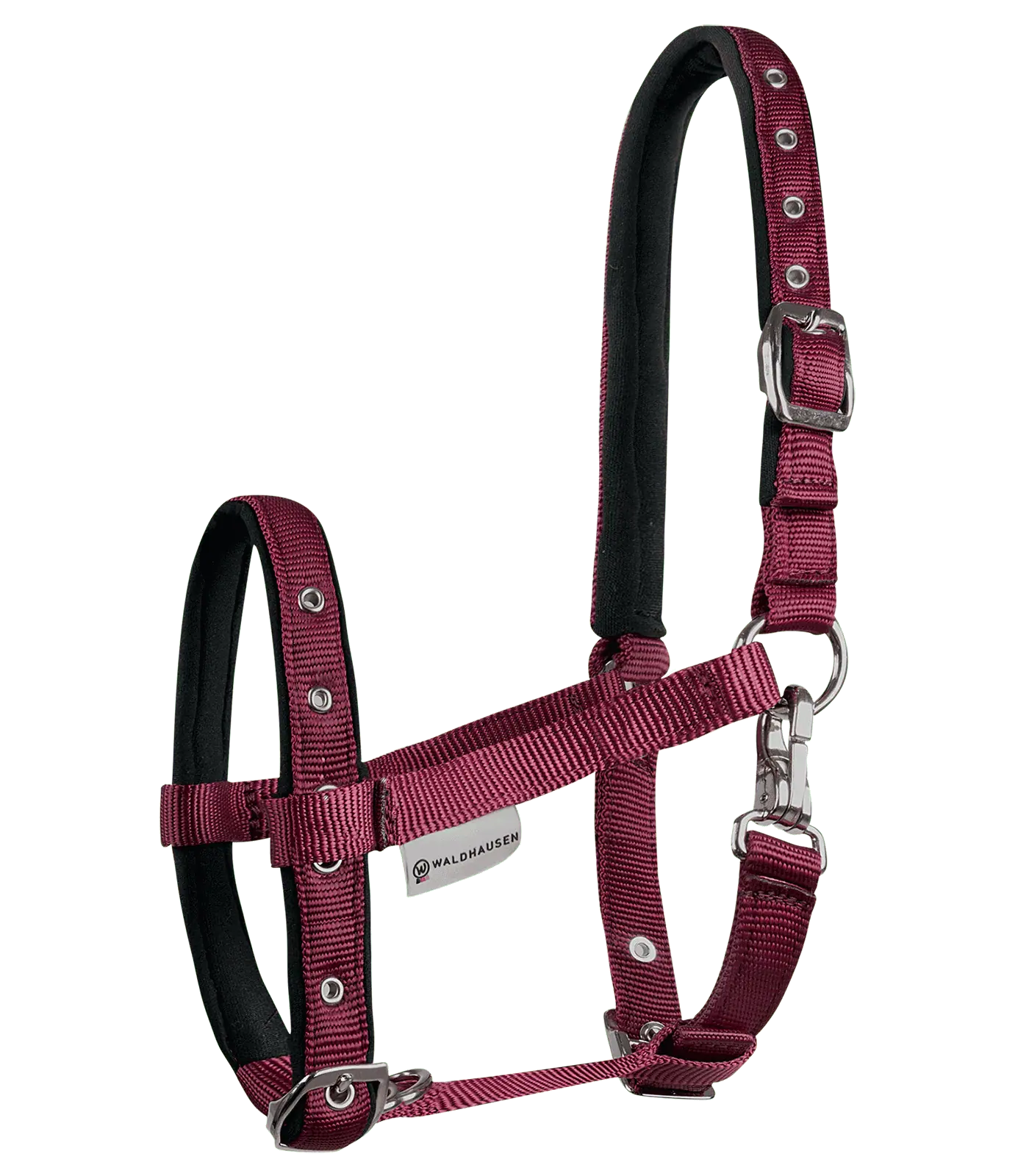 Halter Comfort for Foals bordeaux