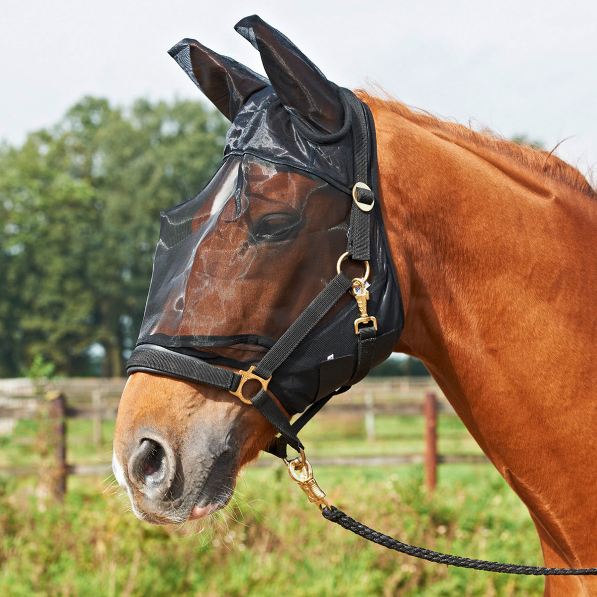 BUSSE Fly Mask Fly Guard Plus Shetty
