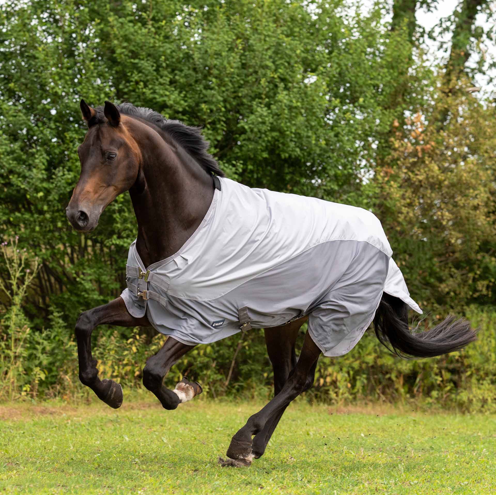 BUSSE Turnout Rug RAINFLY 125 gray