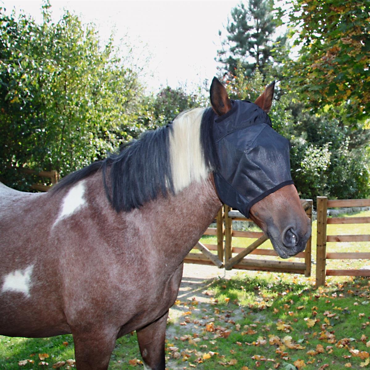 Fly mask thoroughbred, black, with cut-outs for the ears COB