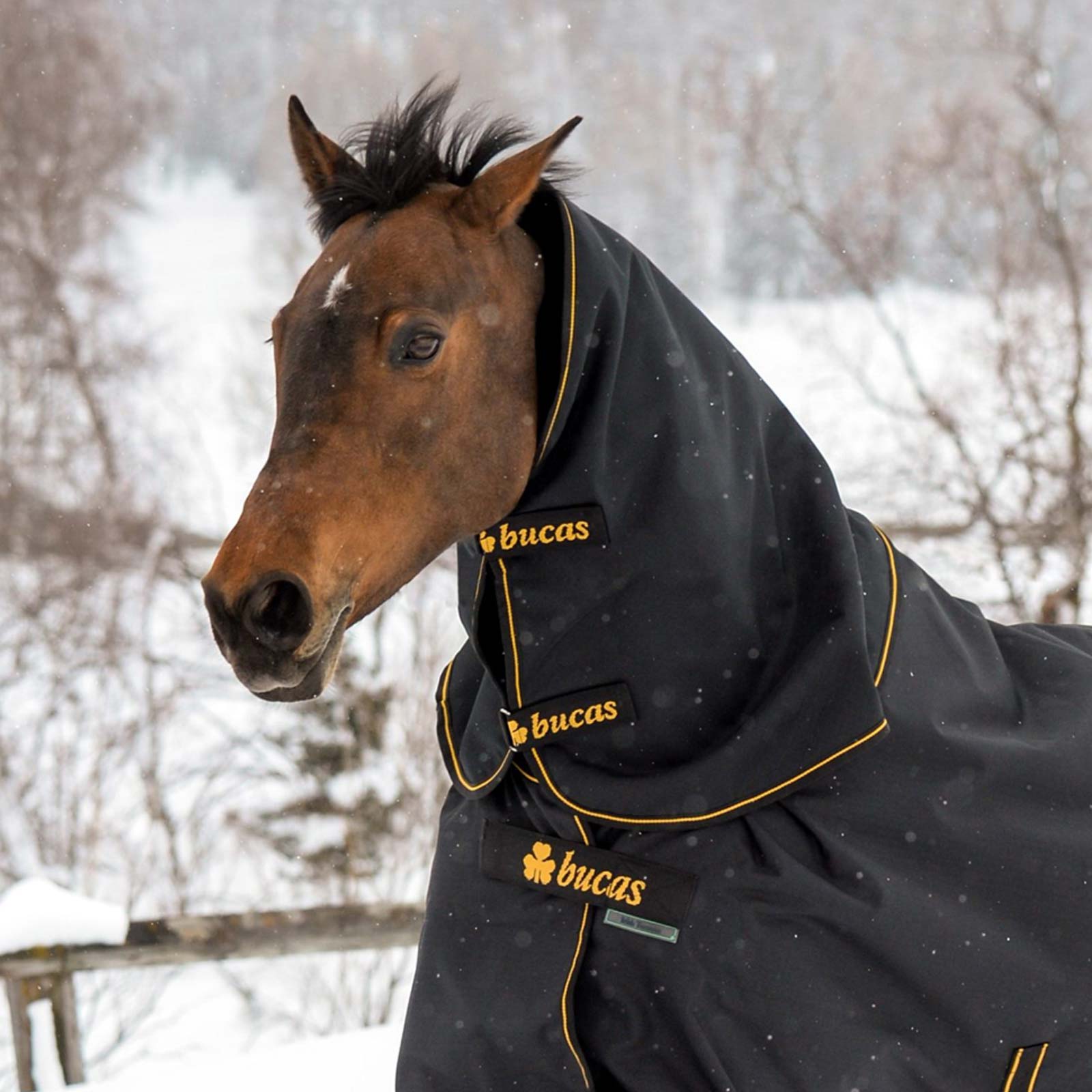 Horse Blanket Accessories