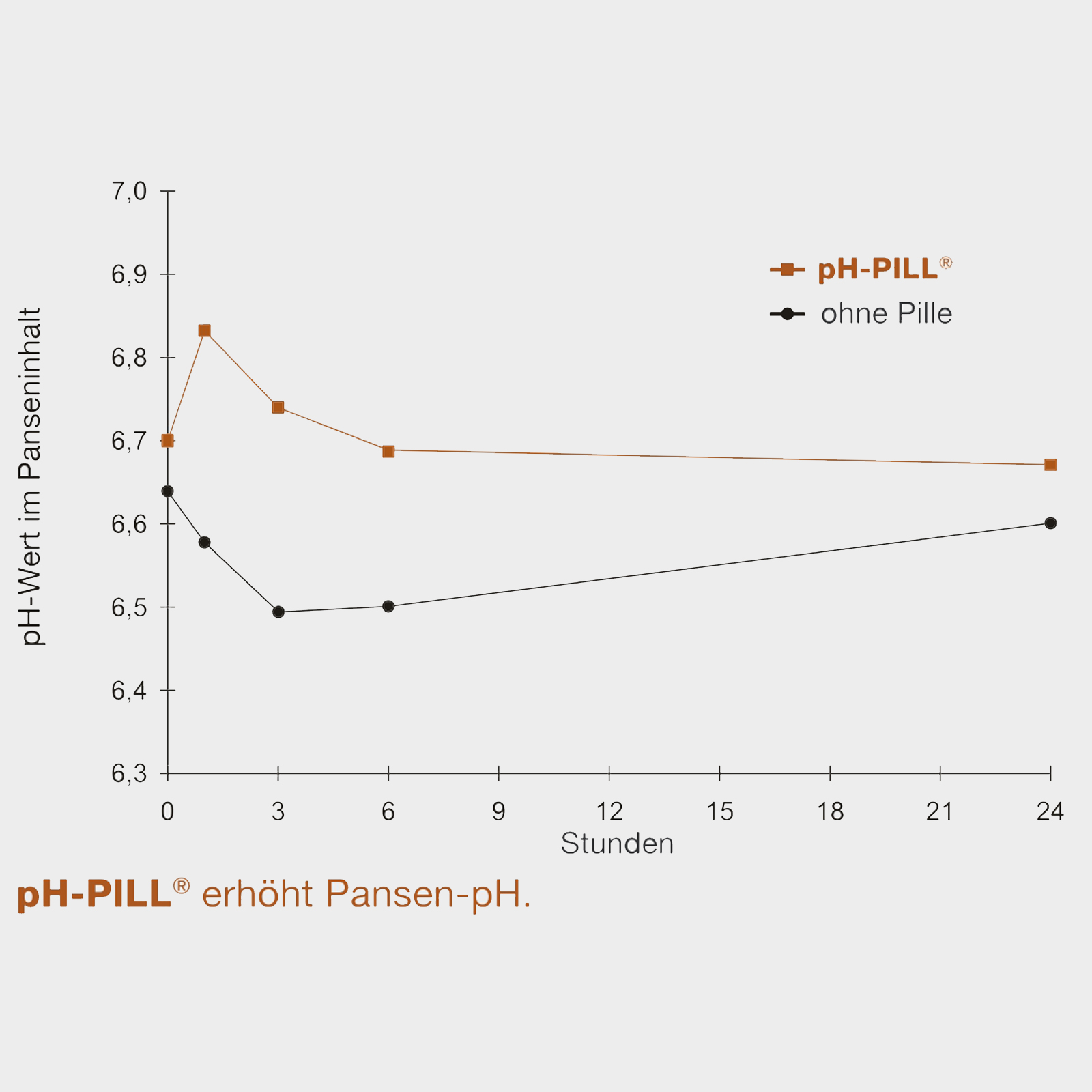 pH-PILL against rumen acidification 4 x 120 g