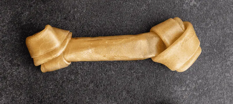 Dog Chewing Bone