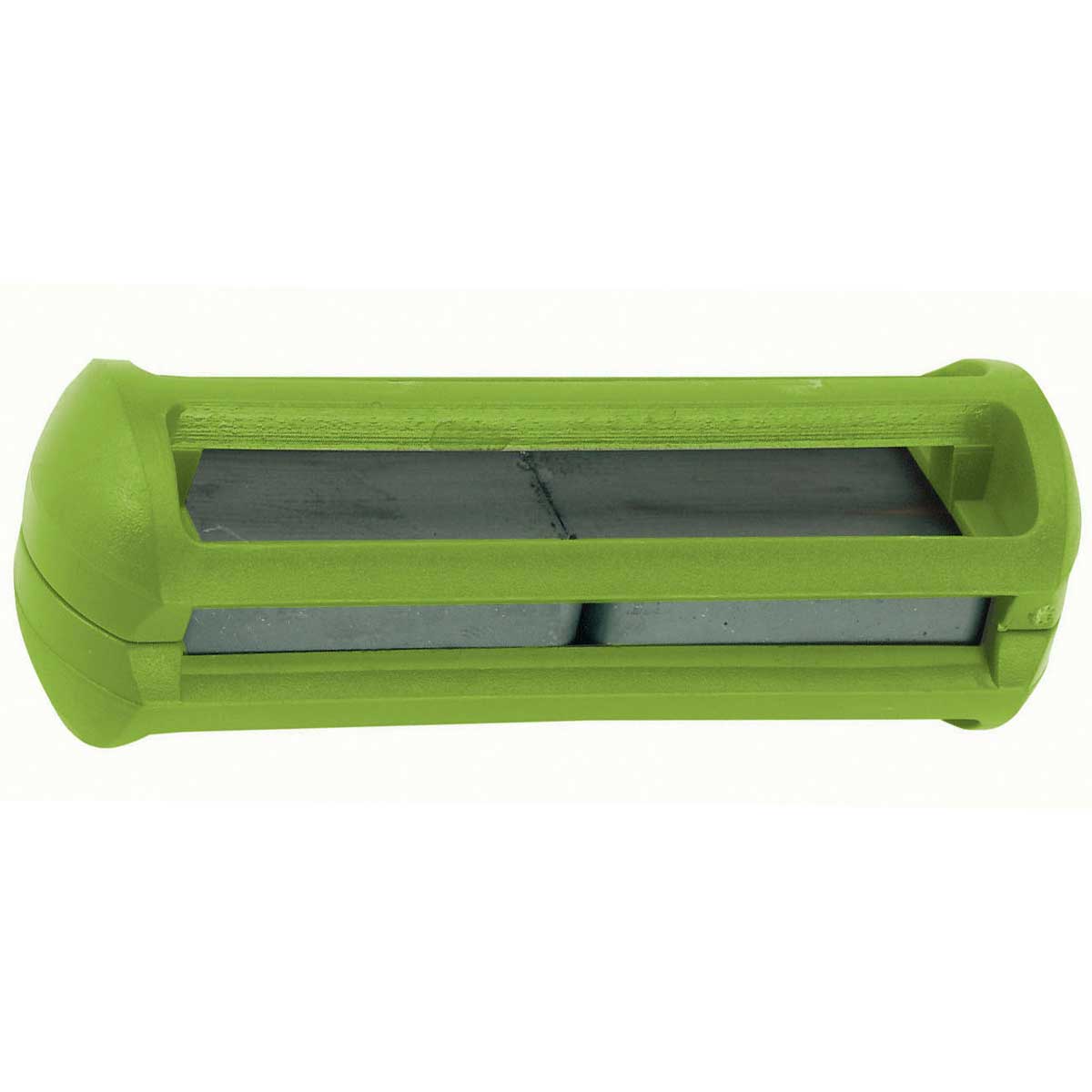 Ruminal Cage Magnet green