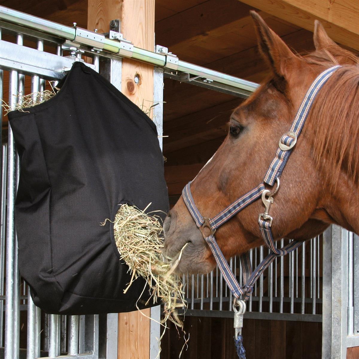 Hay bag horse