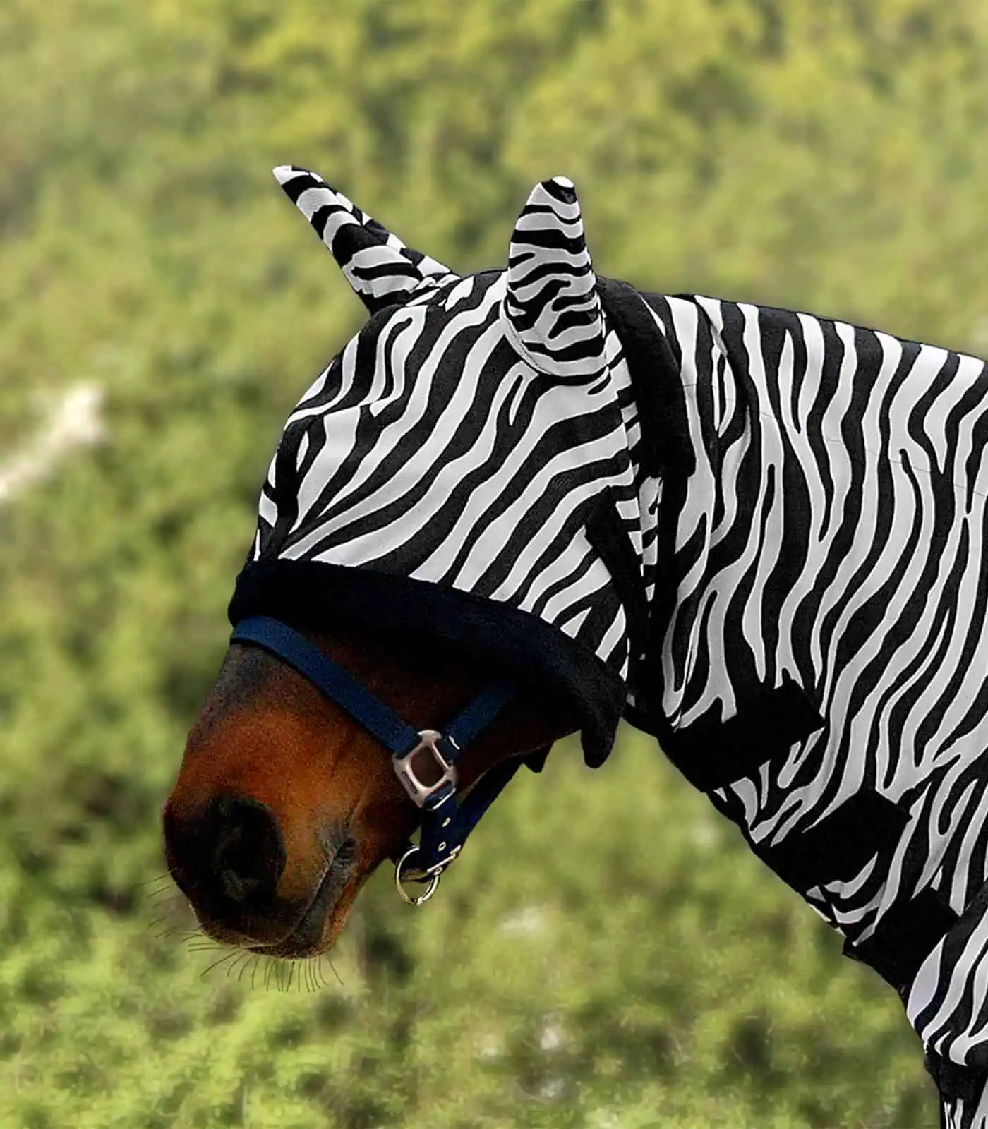 Fly mask Zebra black-and-white Pony