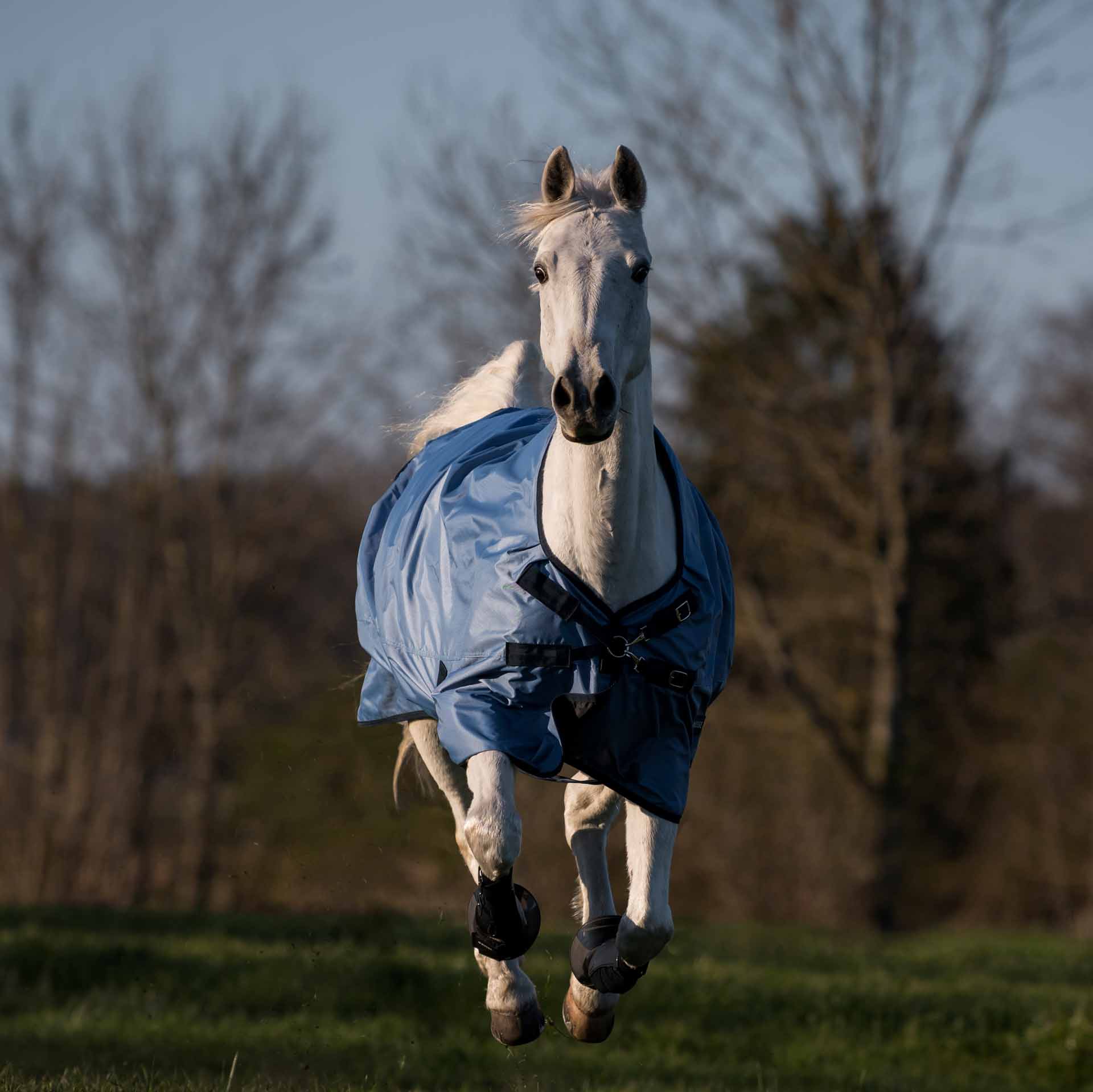 BUSSE Turnout Rug WINDCHILL 50 140 ice blue/navy