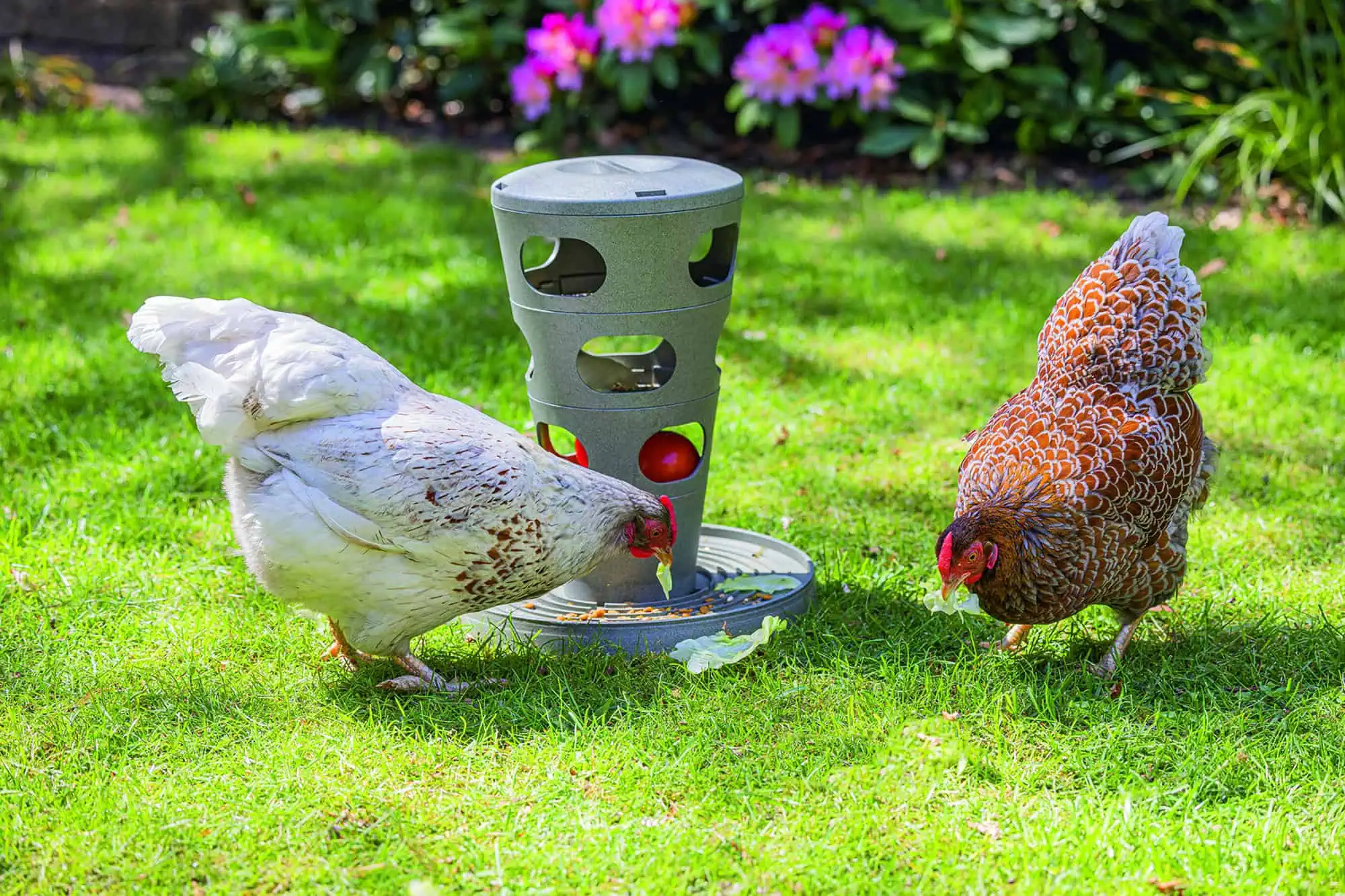 Beeztees Chicken Feed Tower