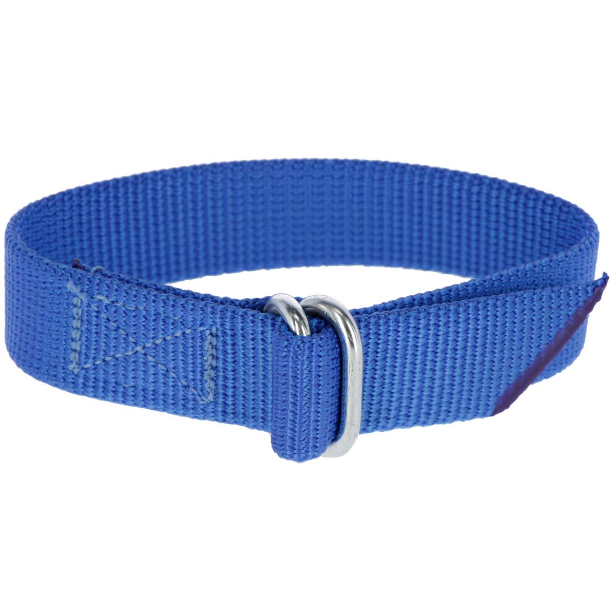 Fetlock Strap for Leg Band Numbers blue