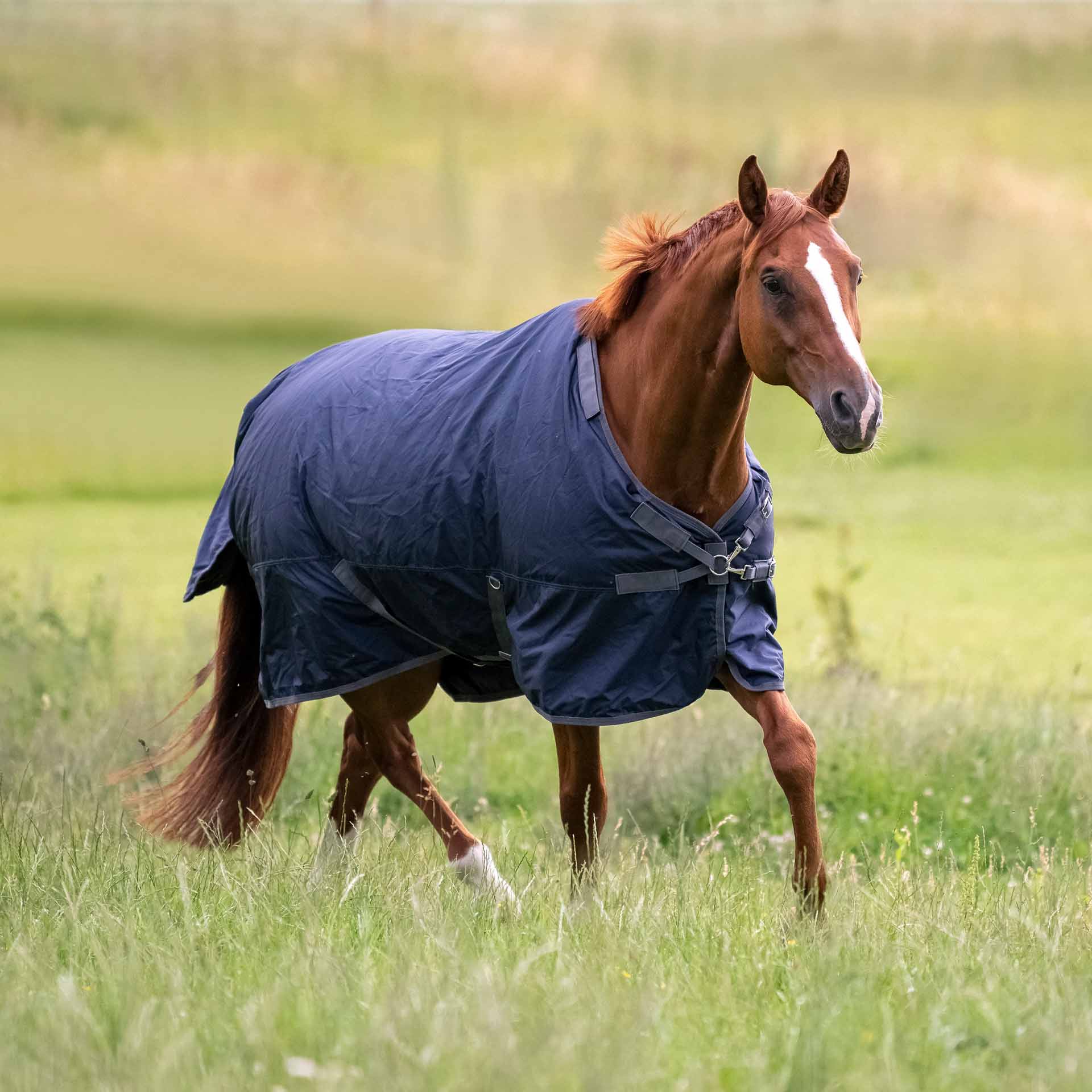 BUSSE Turnout Rug FLEXIBLE PRO 100 130 navy/gray