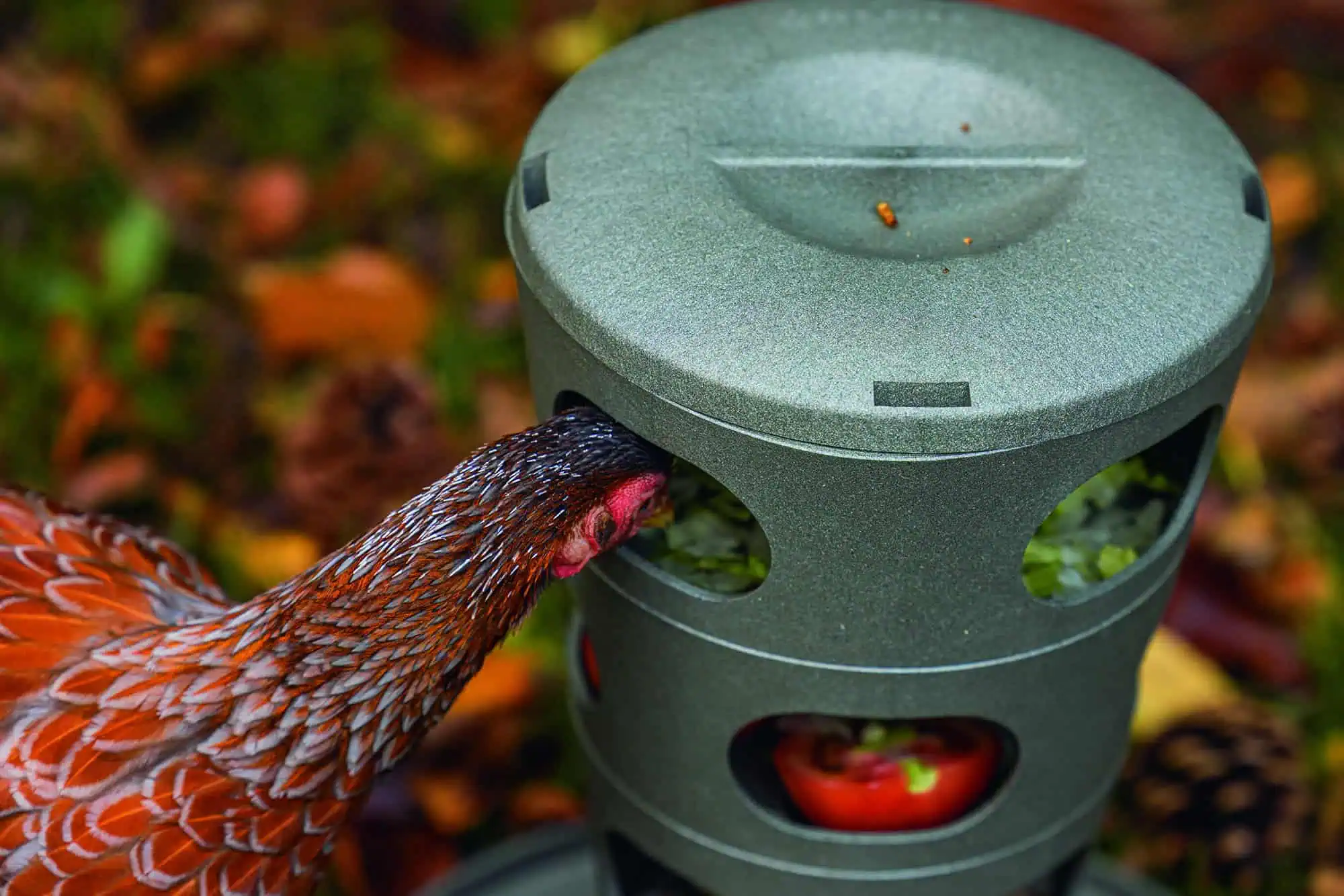 Beeztees Chicken Feed Tower