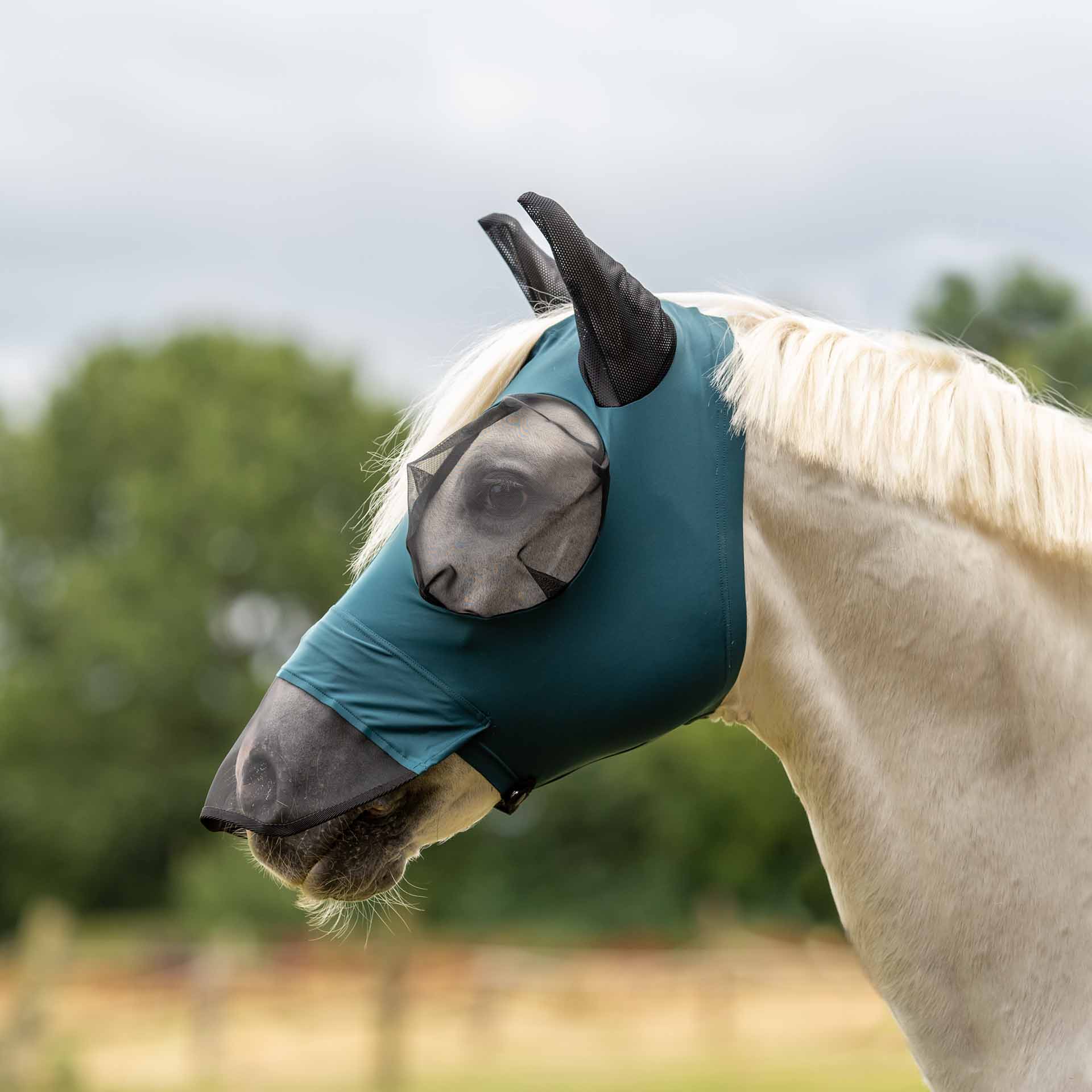 BUSSE Fly Mask TWIN FIT FLEXI PLUS COB teal