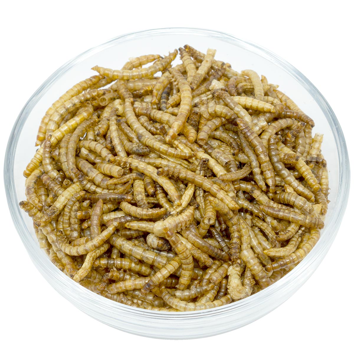 Leimüller Mealworms dried 1 kg