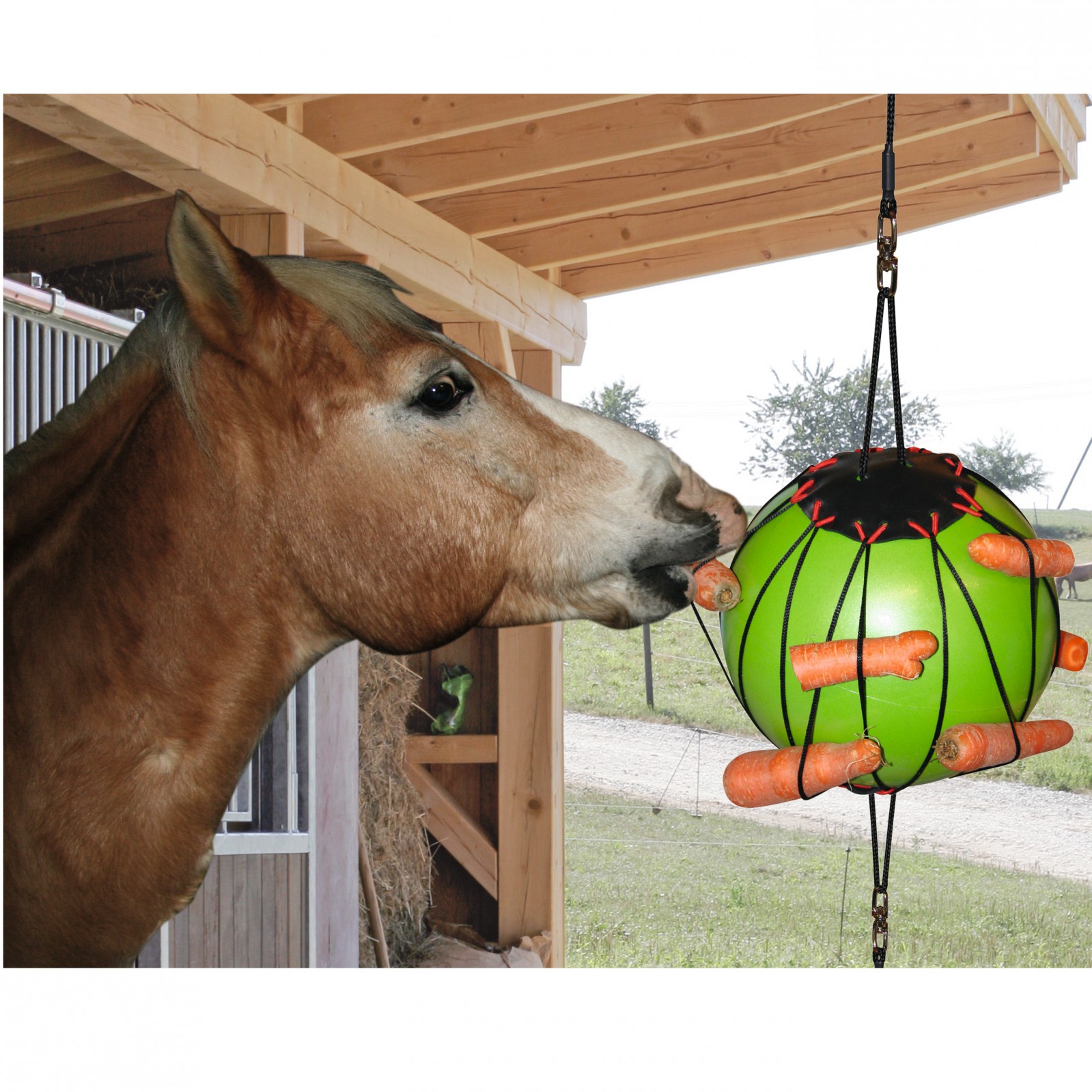 Therapy ball for horses, Ø 25 cm, green