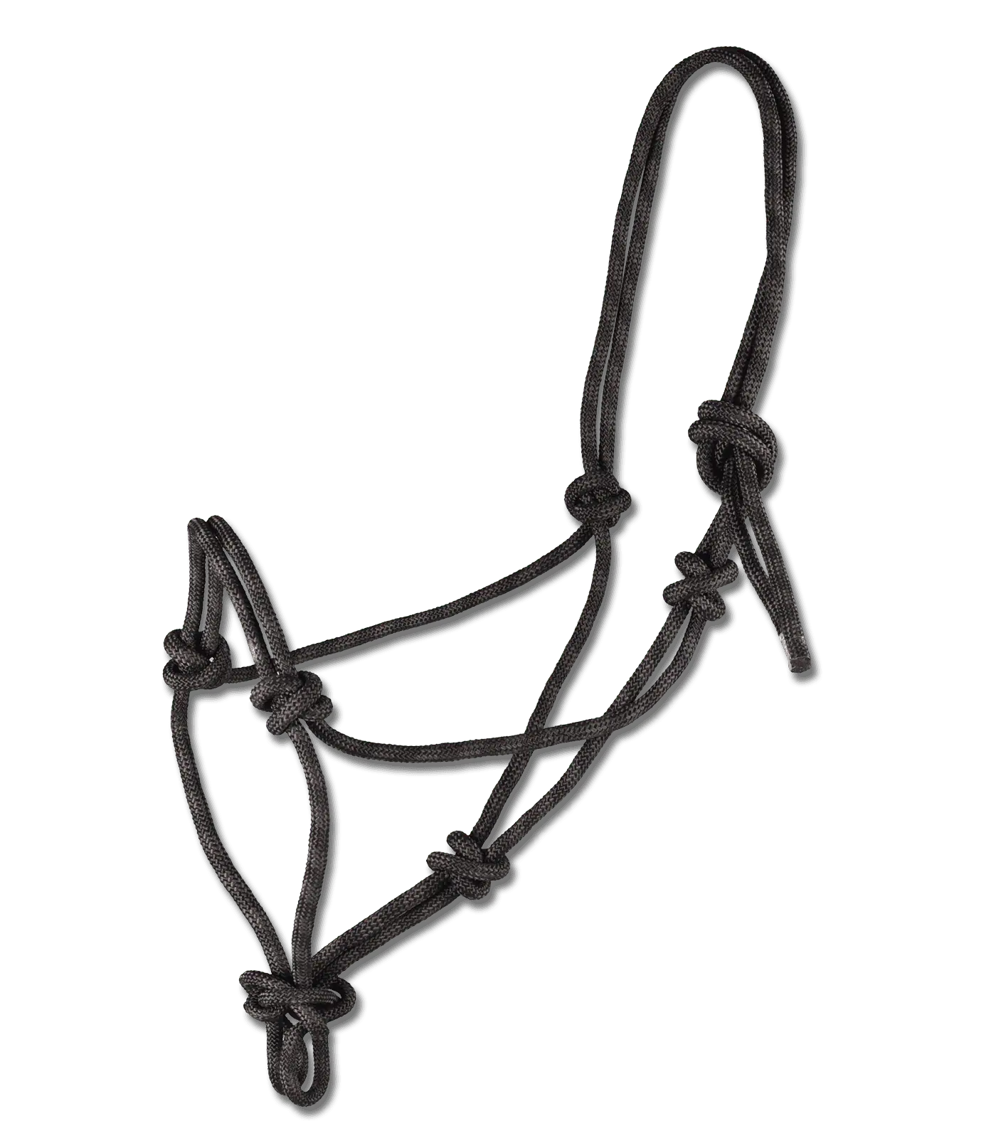 Knotted Halter black/brown COB