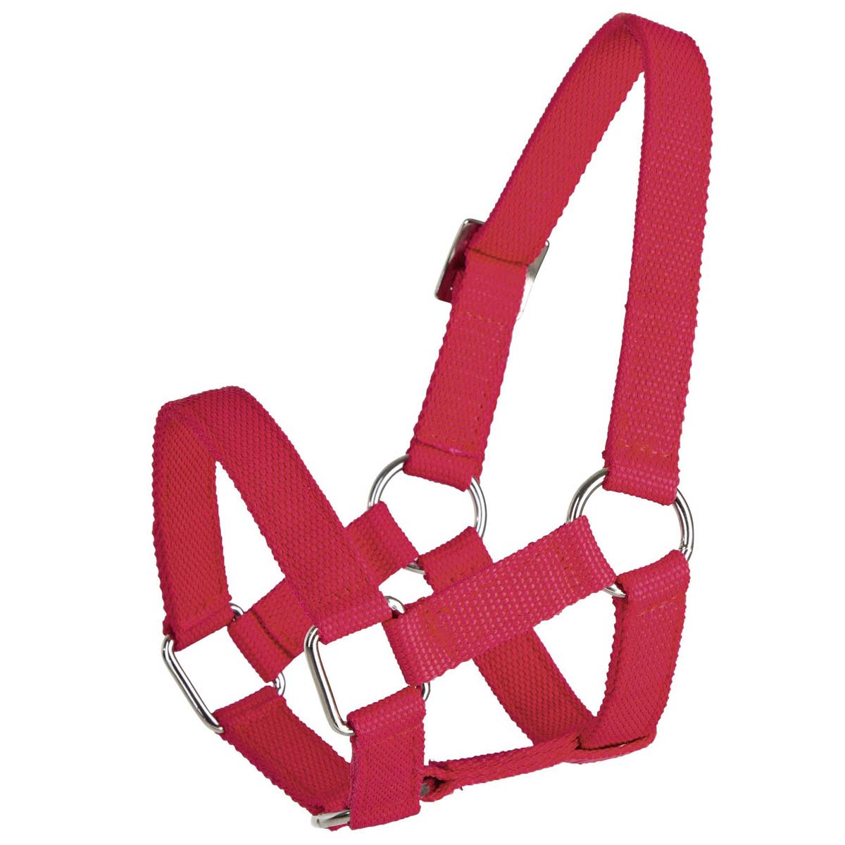 Sheep and Ram Halter red