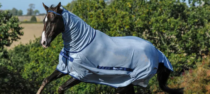 Fly Rug Horse