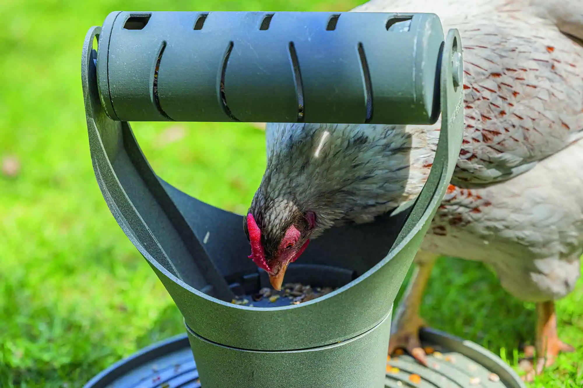 Beeztees Chicken Play- and Snack Tower