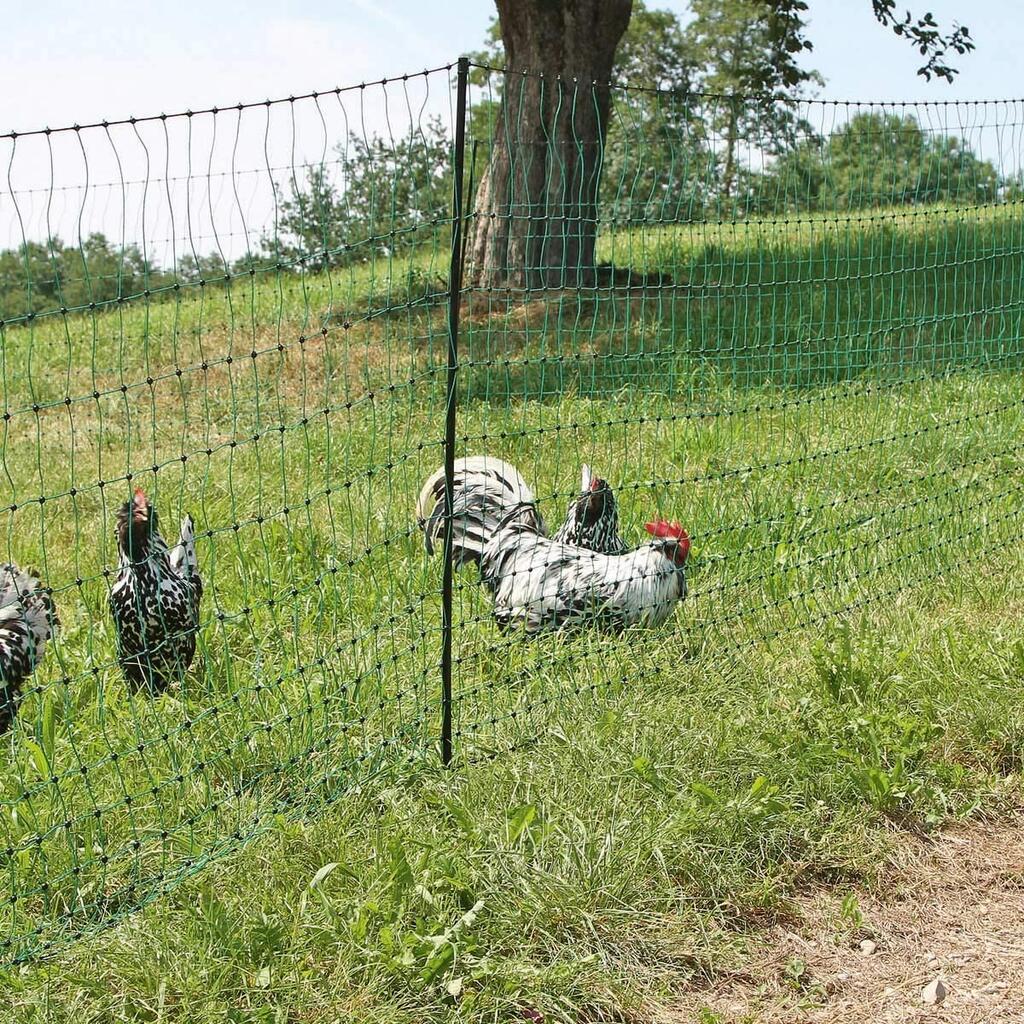 Agrarzone poultry fence set DUO 1500 12V/230V, 2J, net 50m x 112cm, green