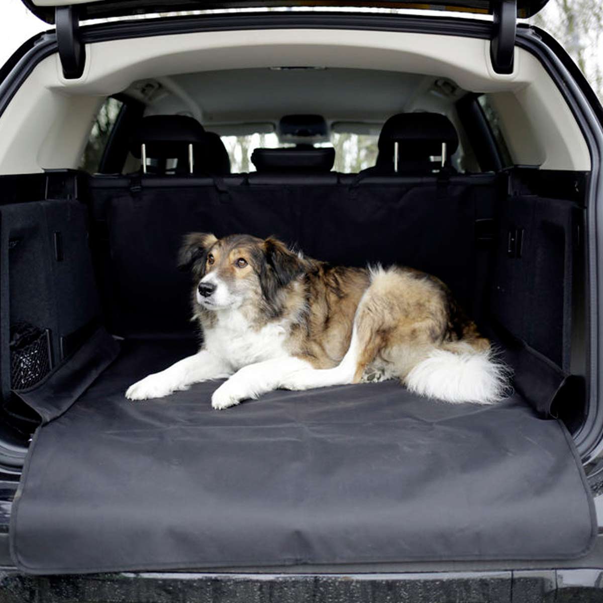 Dog Car Seat Cover ECONOMY