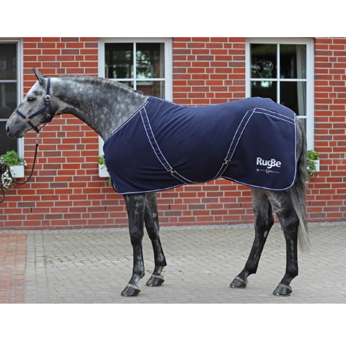 Cooler Rug RugBe Classic navy