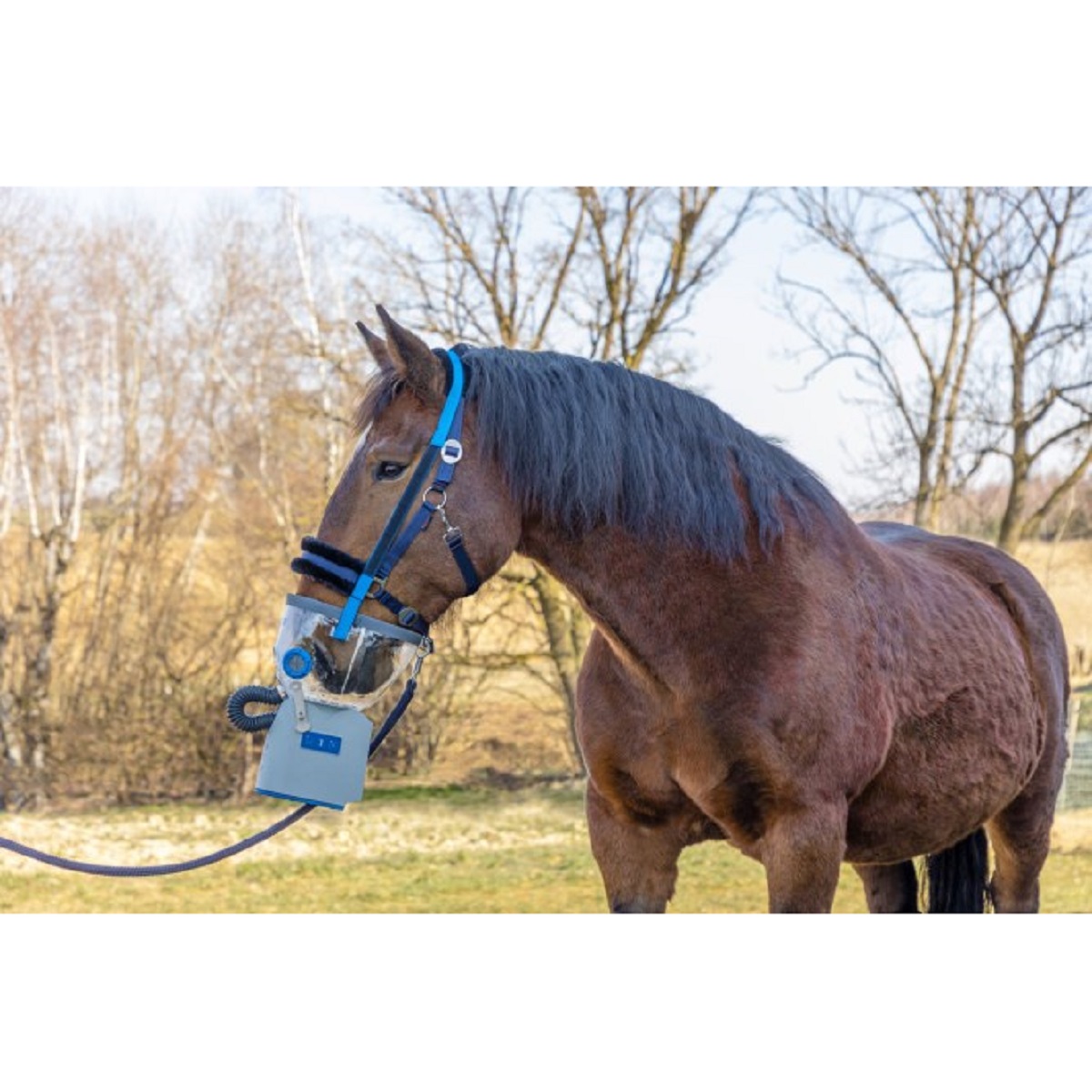 Hippomed Ultrasonic Inhaler Horse AirOne Flex, Battery, without mask