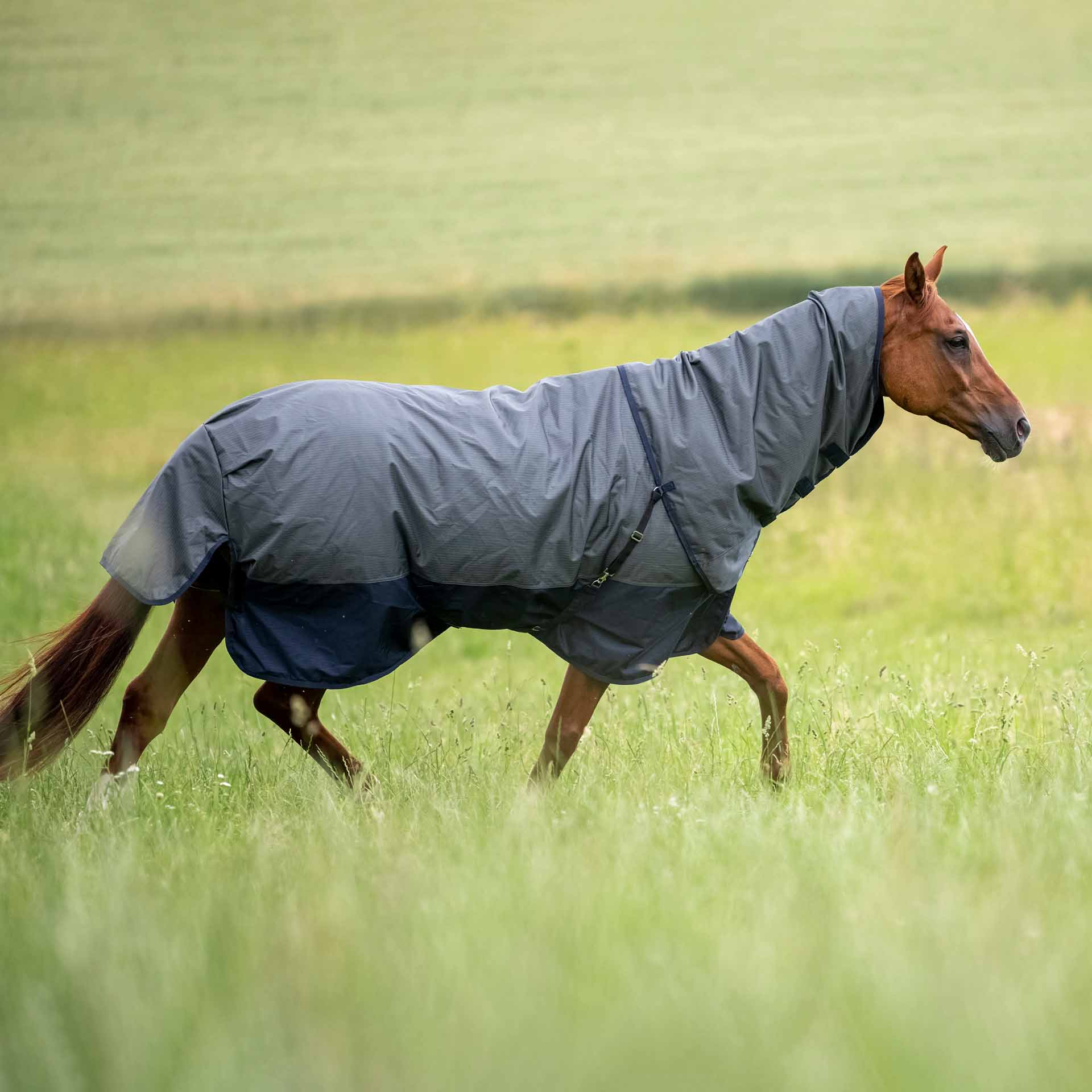 BUSSE Turnout Rug ACTIVE PRO 50 140 anthracite