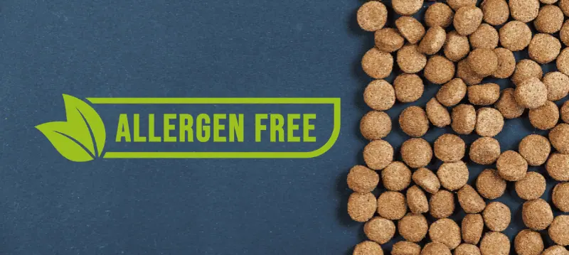 Dog Allergy Food