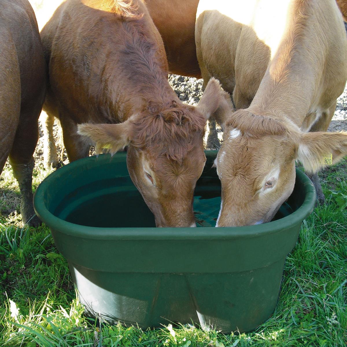 Agrarzone Pasture trough 380 liters incl. float valve