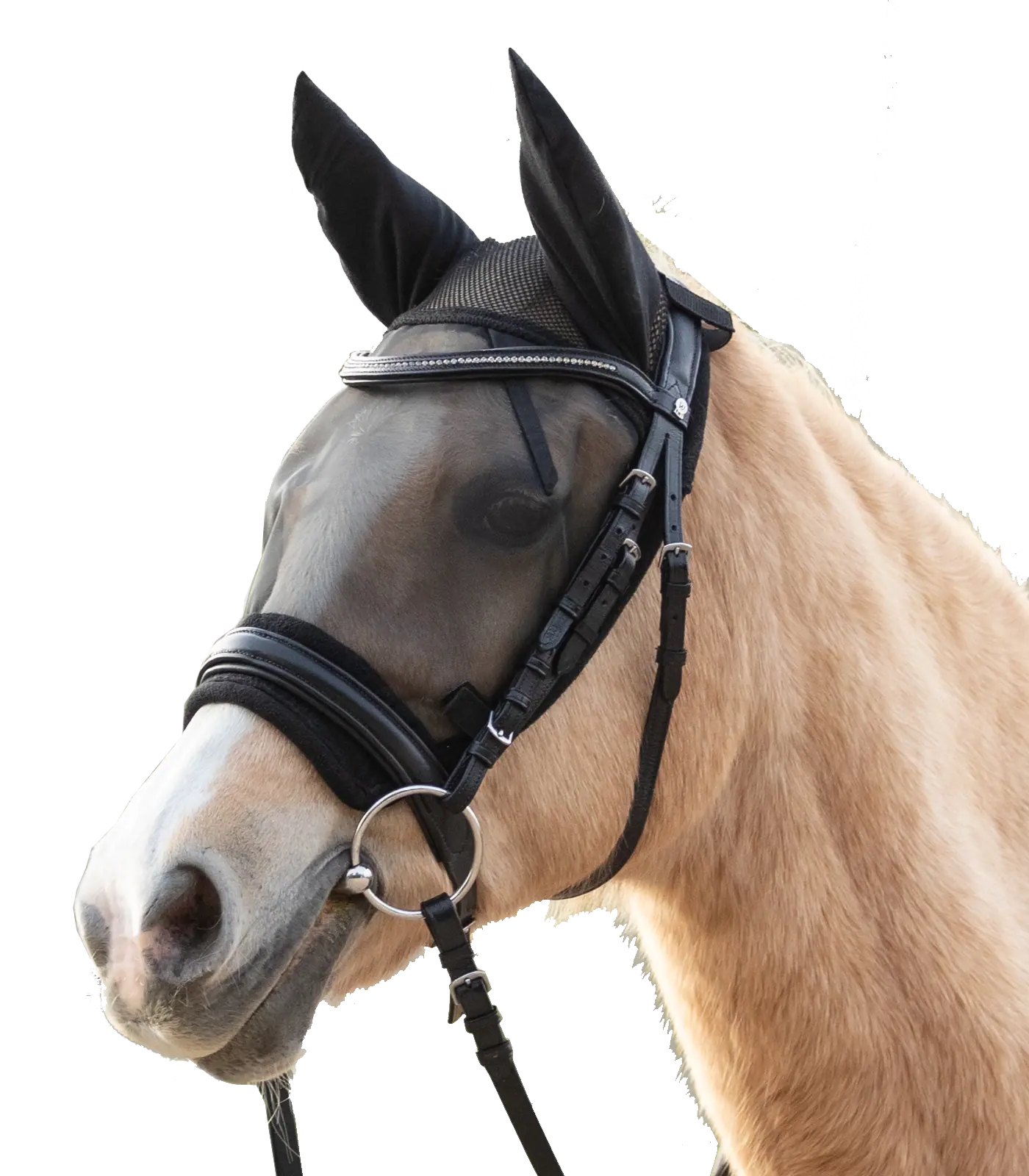 Ride Fly Mask black Pony