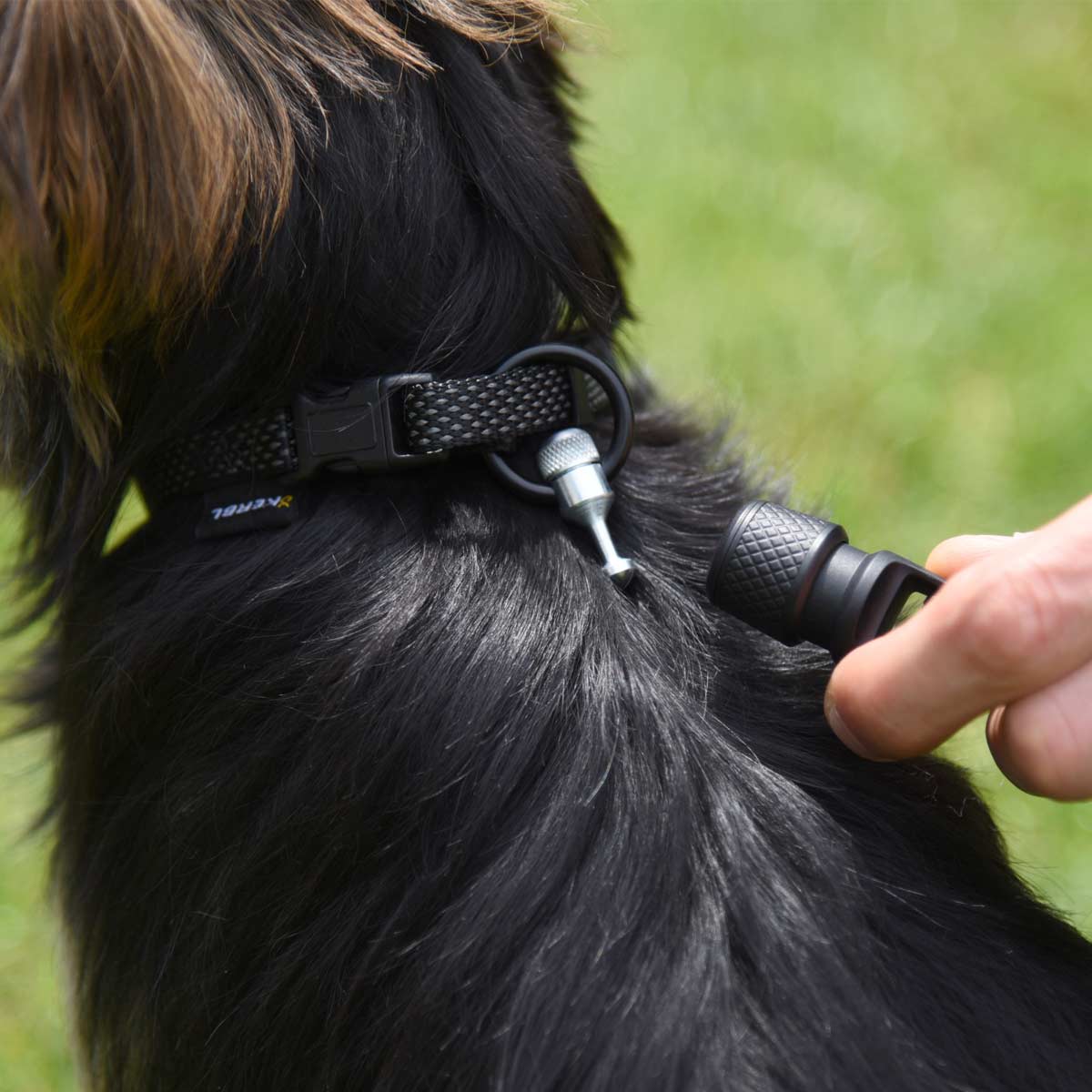 GoLeyGo 2.0 Leash Flat incl. Adapter-Pin M - up to 60 kg black