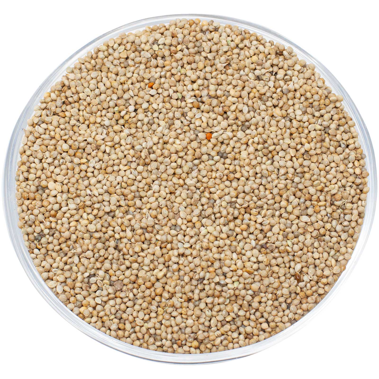 Leimüller Japanese Millet