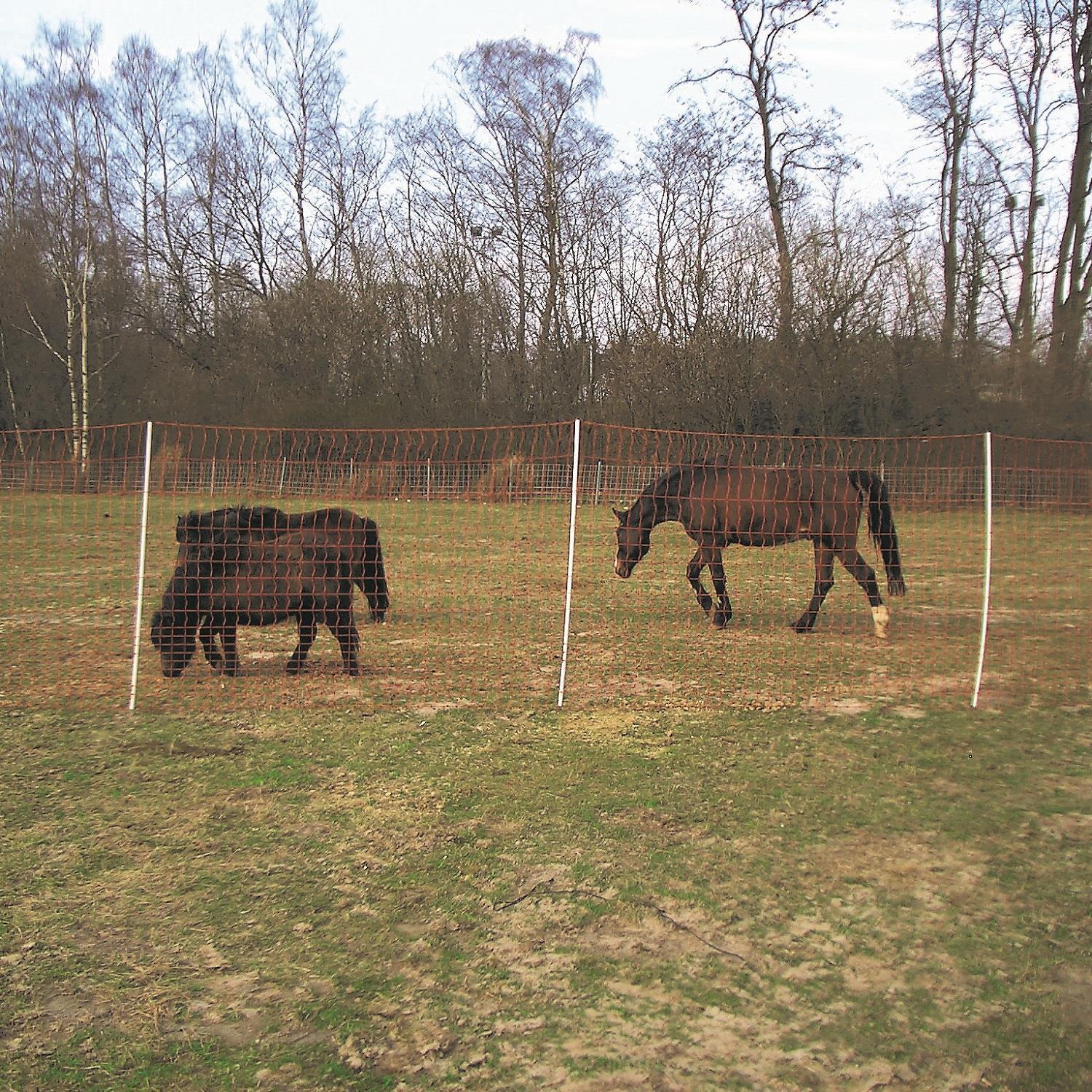 Euro-Mustang-Net Pasture Net close-meshed electrificable, double tip, orange 50 m x 145 cm