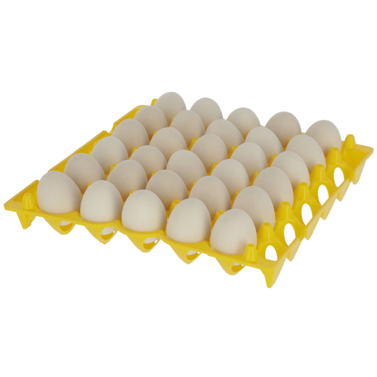 Egg storage